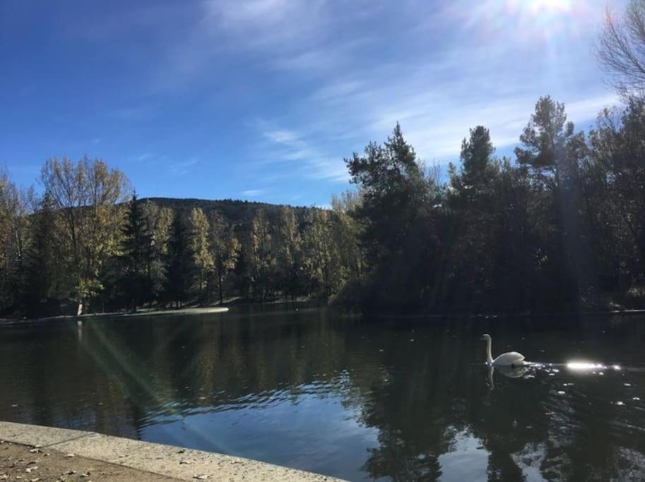 Ideal Parejas - Tranquilidad Y Naturaleza - Vistas Al Lago Osséja Exterior foto